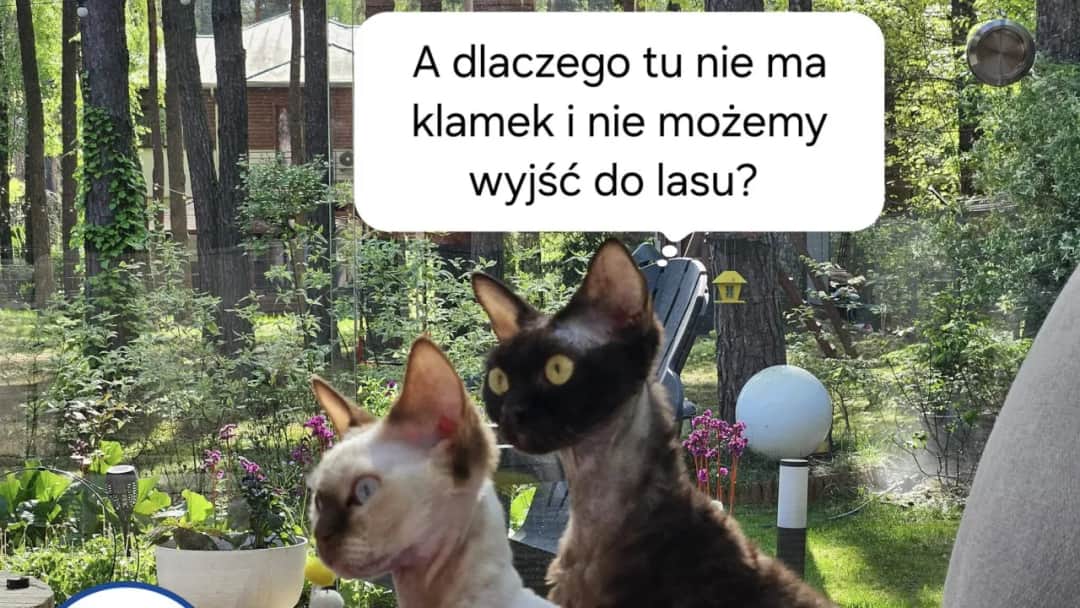 Poznaj zaskakujące powody braku klamek w budynkach - 5 faktów