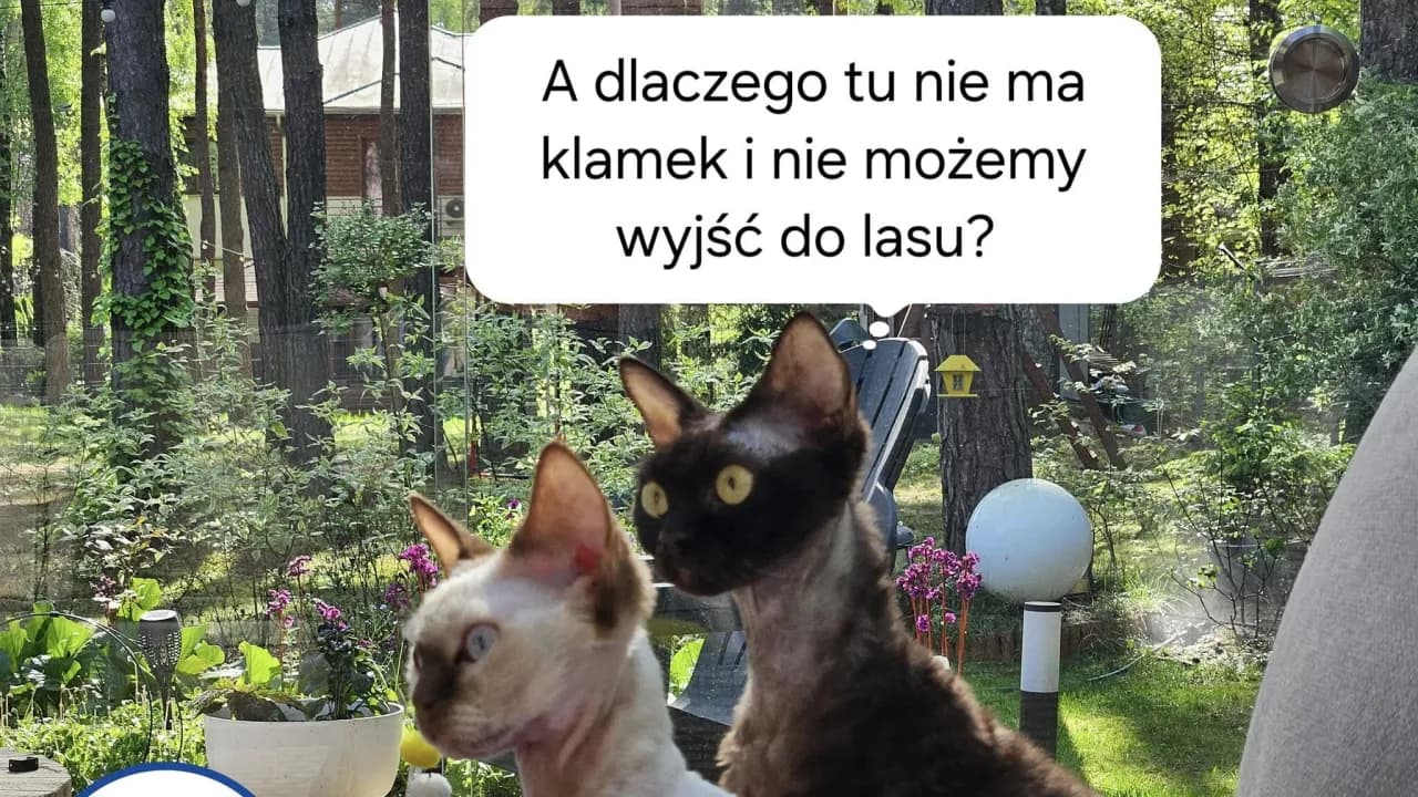 Poznaj zaskakujące powody braku klamek w budynkach - 5 faktów