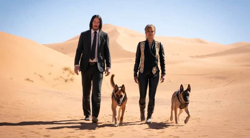 Psy w John Wick 3 - poznaj wyjątkowe czworonogi z kultowych scen akcji