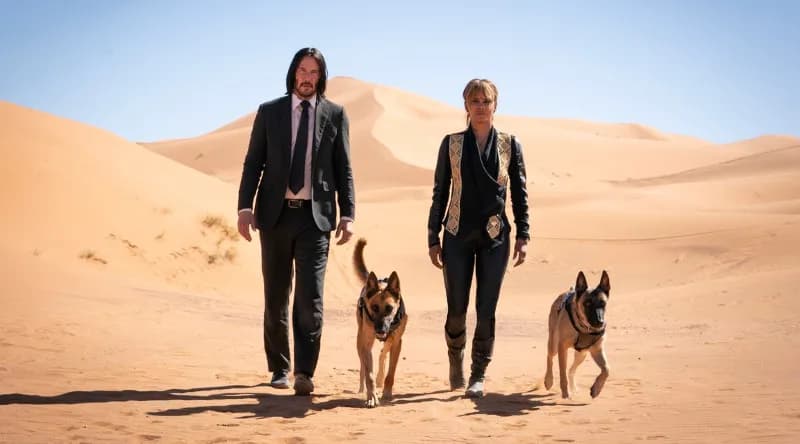 Psy w John Wick 3 - poznaj wyjątkowe czworonogi z kultowych scen akcji